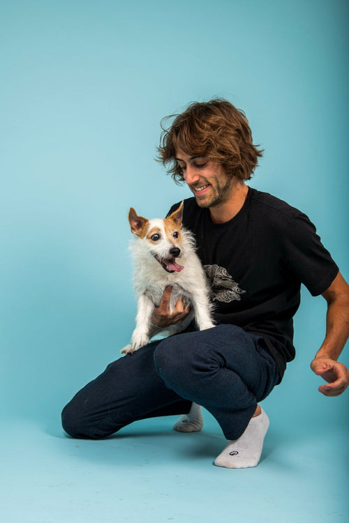 Jack Russell dans les bras de son maître, fond bleu, en studio